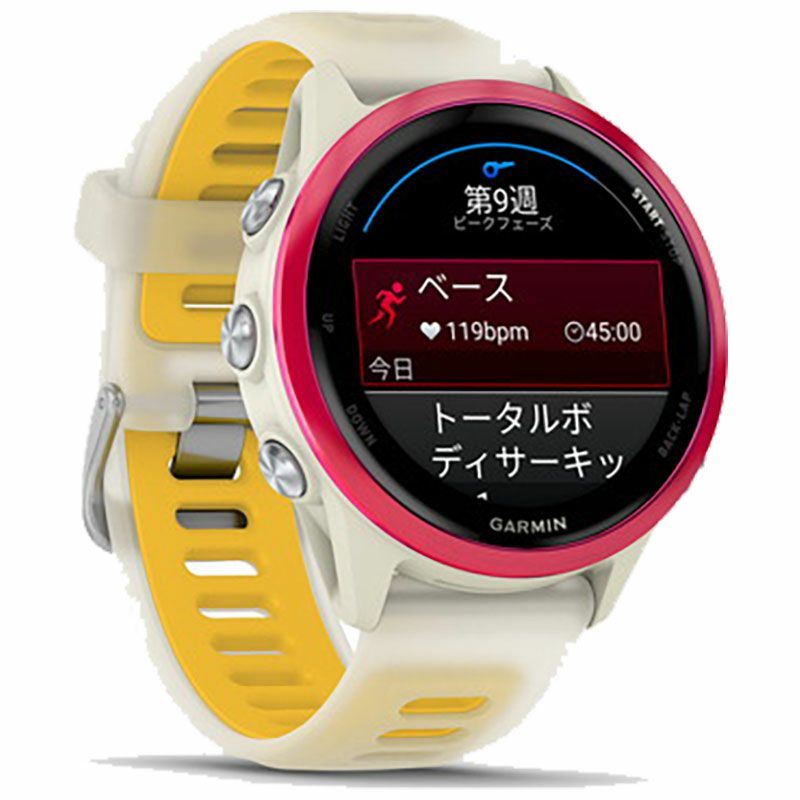 GARMIN ガーミン Forerunner570 42mm 010-02970-30 010-02970-31 010-02970-32 スマートウォッチ Suica対応 フォアランナー570 ランニング フィットネス GPS メンズ レディース Black White Raspberry