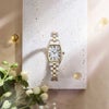 HEE005J自動巻き SEIKO LUKIA Grow 国内限定600本 華奢 かわいい レディース Ladies 腕時計 シルバー 白文字盤